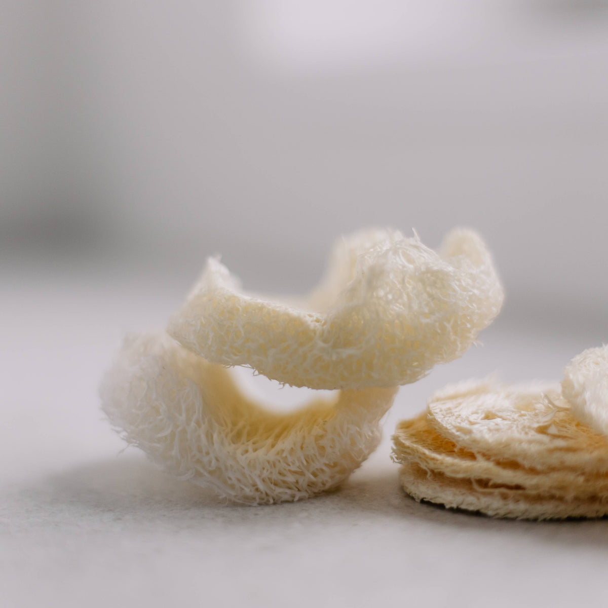 Loofah-peelingpads för ansiktet  i 5-pack